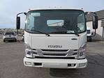 2023 Isuzu NQR Regular Cab 4x2, Cab Chassis for sale #6711 - photo 5