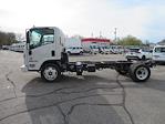 2023 Isuzu NQR Regular Cab 4x2, Cab Chassis for sale #6711 - photo 7