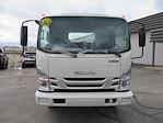 2024 Isuzu NQR Regular Cab 4x2, Cab Chassis for sale #6730 - photo 5