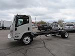 2024 Isuzu NQR Regular Cab 4x2, Cab Chassis for sale #6730 - photo 6