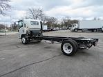 2024 Isuzu NQR Regular Cab 4x2, Cab Chassis for sale #6730 - photo 8