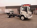 2025 Isuzu NPR-HD Regular Cab 4x2, Cab Chassis for sale #6802 - photo 1