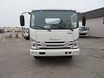 2025 Isuzu NPR-HD Regular Cab 4x2, Cab Chassis for sale #6802 - photo 4