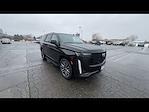 2021 Cadillac Escalade 4WD SUV for sale #MP2045 - photo 4