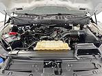 Used 2022 Ford F-150 XL SuperCrew Cab for sale #1-2749-TX - photo 17