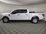 Used 2022 Ford F-150 XL SuperCrew Cab for sale #1-2924-TX - photo 5