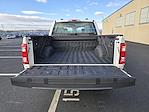 Used 2023 Ford F-150 XL SuperCrew Cab for sale #1-6056-PA - photo 8