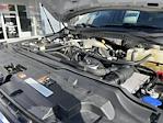 2024 Ford F-450 Crew Cab DRW 4WD Cab Chassis for sale #AU5589 - photo 3