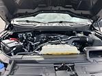 2023 Ford F-150 SuperCrew Cab 4WD Pickup for sale #CT5725 - photo 20