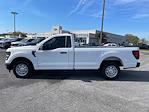 2024 Ford F-150 Regular Cab RWD Pickup for sale #RKF04610 - photo 8