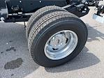 2025 Ford F-350 Crew Cab DRW 4WD Cab Chassis for sale #SEC98221 - photo 6