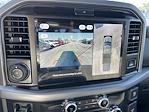 New 2025 Ford F-150 XLT SuperCrew Cab 4WD Pickup for sale #SFC10552 - photo 17