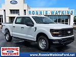 2025 Ford F-150 SuperCrew Cab 4WD Pickup for sale #SKE58131 - photo 1