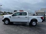 2025 Ford F-150 SuperCrew Cab 4WD Pickup for sale #SKE58131 - photo 6