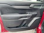 New 2025 Ford Ranger XL SuperCrew Cab Pickup for sale #SLE26875 - photo 11