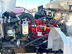 New 2025 Hino L6 Day Cab Cab Chassis for sale #0586555 - photo 11