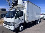 Used 2019 Hino 195 Single Cab 4x2 Refrigerated Body for sale #0597685 - photo 3