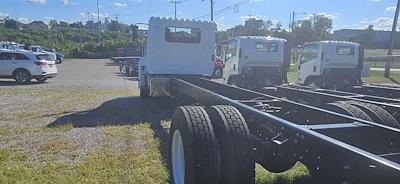 New 2026 Hino L6 Day Cab Cab Chassis for sale #0612793 - photo 2