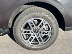 2026 Ford Expedition 4WD SUV for sale #EA05534 - photo 11