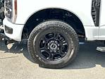 2024 Ford F-250 Crew Cab 4WD Plow Truck for sale #EC94475F - photo 12