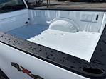 New 2025 Ford F-250 XLT Regular Cab 4WD Pickup for sale #ED51758 - photo 14