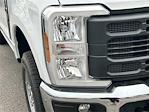 2024 Ford F-250 Regular Cab 4x4 Cab Chassis for sale #EE85884 - photo 10