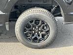 New 2026 Ford F-150 XLT SuperCrew Cab for sale #FA12247 - photo 12