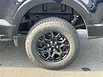 New 2026 Ford F-150 XLT SuperCrew Cab for sale #FA15145 - photo 12