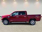 New 2025 Ford F-150 XLT SuperCrew Cab 4WD Pickup for sale #FA26794 - photo 6