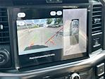 New 2025 Ford F-150 Tremor SuperCrew Cab 4WD Pickup for sale #FB27440 - photo 36