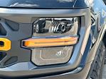 New 2025 Ford F-150 Tremor SuperCrew Cab 4WD Pickup for sale #FB34223 - photo 9