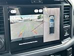 New 2025 Ford F-150 XLT SuperCrew Cab 4WD Pickup for sale #FB82561 - photo 29