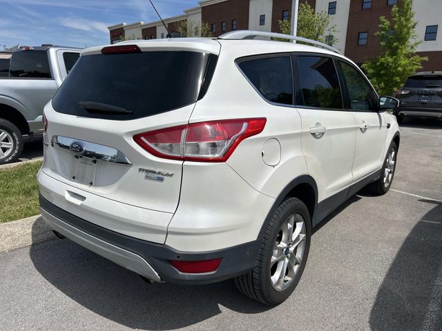 Used 2014 Ford Escape - photo 6