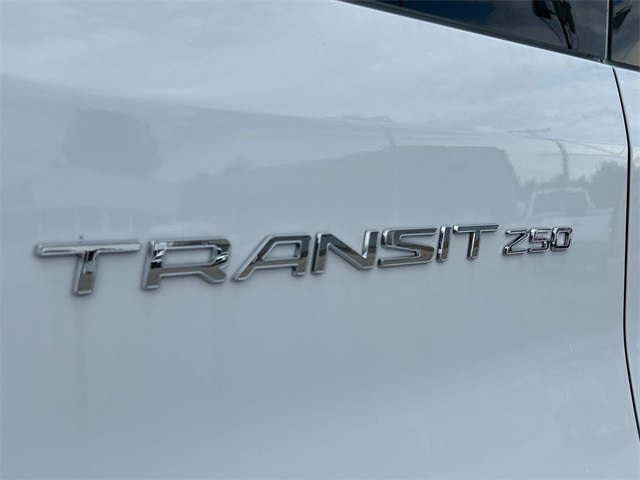 New 2025 Ford Transit 250 - photo 15