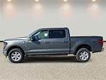 New 2026 Ford F-150 XLT SuperCrew Cab for sale #KD02187 - photo 8