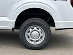 New 2026 Ford F-150 XL Regular Cab for sale #KD15385 - photo 12