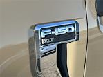 New 2026 Ford F-150 XLT SuperCrew Cab for sale #KD18999 - photo 10