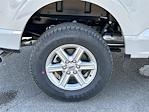 New 2026 Ford F-150 XLT SuperCrew Cab for sale #KD19932 - photo 12