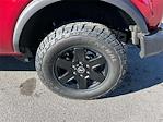 2025 Ford Bronco 4WD SUV for sale #LB65496 - photo 12