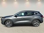 New 2026 Ford Escape ST-Line for sale #UA24323 - photo 8