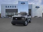 2025 Ford F-150 Regular Cab 4x4 Pickup for sale #25245 - photo 3
