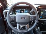 2024 Ford F-150 SuperCrew Cab 4x4, Pickup for sale #4360 - photo 14