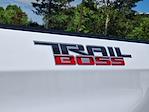 2023 Chevrolet Silverado 1500 Crew Cab 4x4 Pickup for sale #A4281 - photo 30