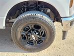 2025 Ford F-250 Crew Cab 4WD Pickup for sale #AC99779 - photo 14