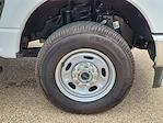 2024 Ford F-250 Crew Cab 4x4 Pickup for sale #PE15786 - photo 14