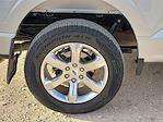 2023 Ford F-150 SuperCrew Cab 4WD Pickup for sale #PE42305 - photo 14