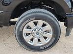 2019 Ford F-350 Crew Cab SRW 4x4 Pickup for sale #PE63875 - photo 14