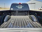 2024 Ford F-250 Crew Cab 4x4, Pickup for sale #RED30923 - photo 15