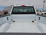 2024 Ford F-250 Crew Cab 4x4 Pickup for sale #REE76221 - photo 15