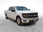 2024 Ford F-150 SuperCrew Cab 4x2 Pickup for sale #RKD42382 - photo 1